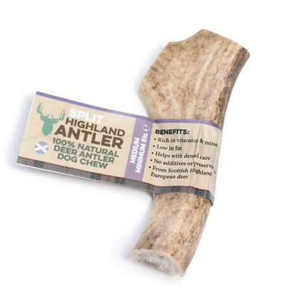 Deer Antler