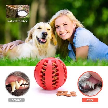 Interactive Rubber Pet Dog Toy